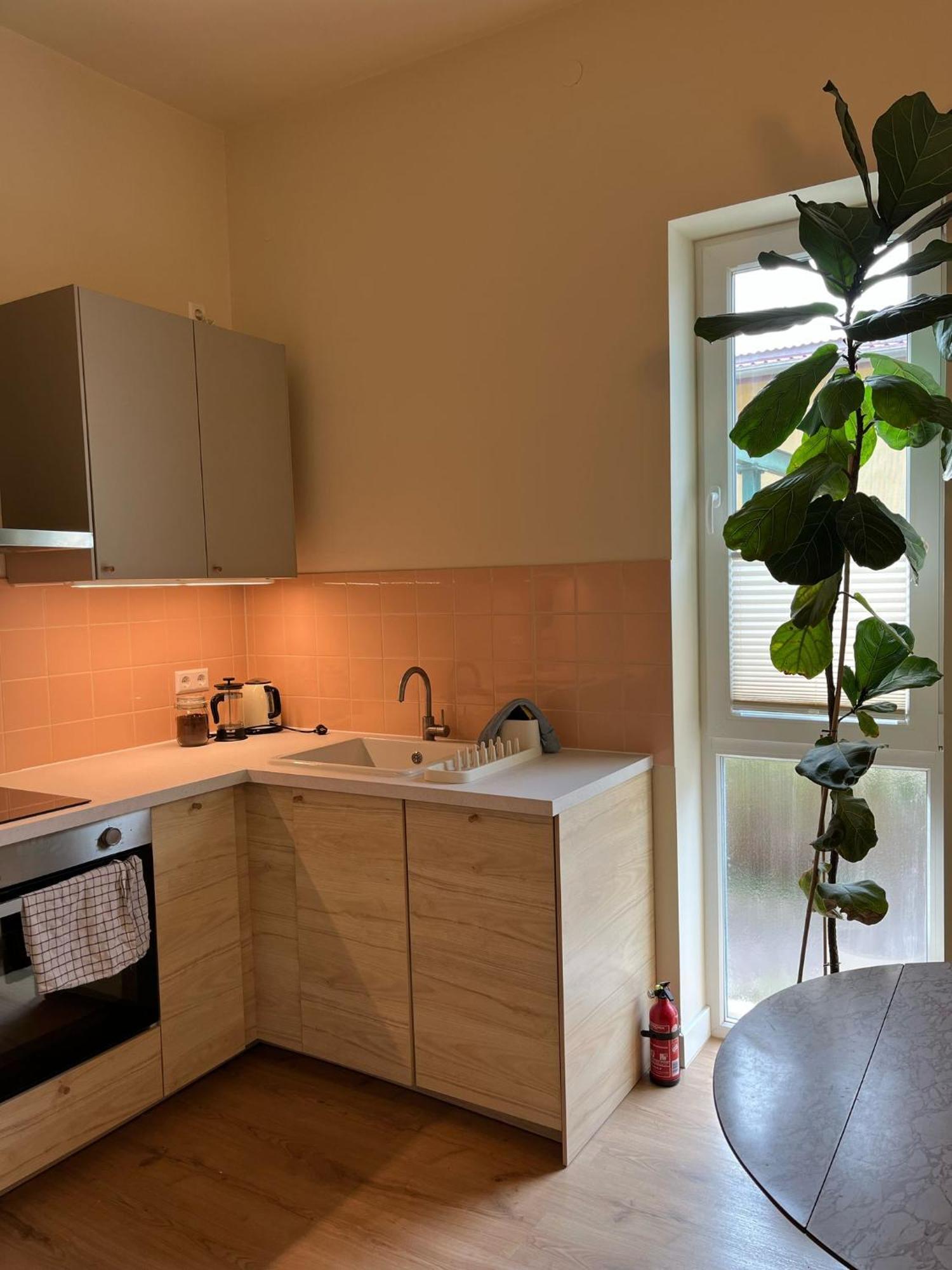 Guesthouse With 3 Apartments, Just Outside Berlin, Near To Tesla Burig Ngoại thất bức ảnh